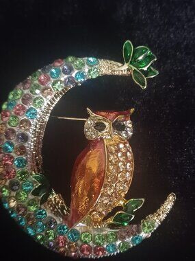 Cute Owl on a Half Moon Brooch